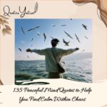 135 Peaceful Mind Quotes to Help You Find Calm Within Chaos