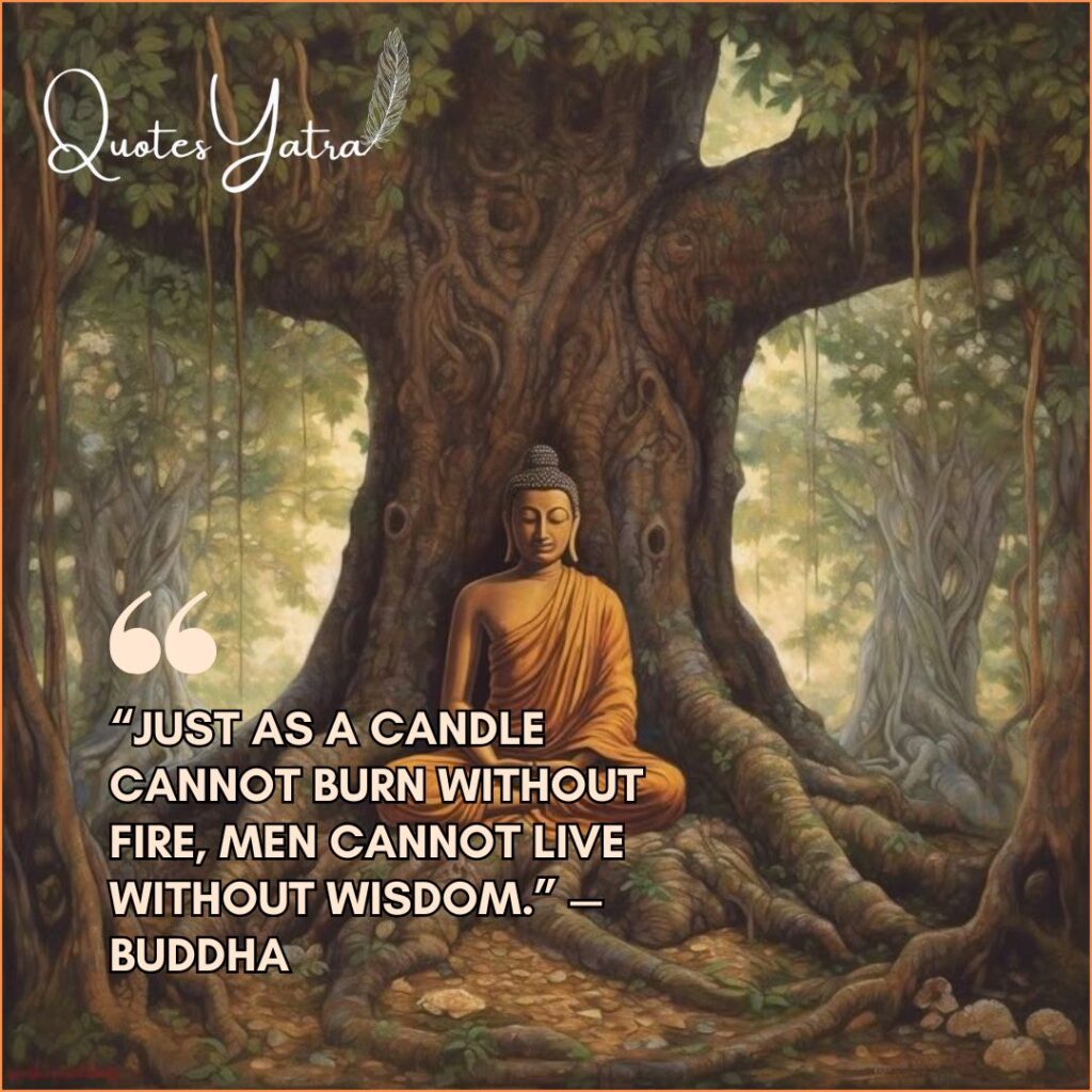 Buddha Quotes on Wisdom and Understanding