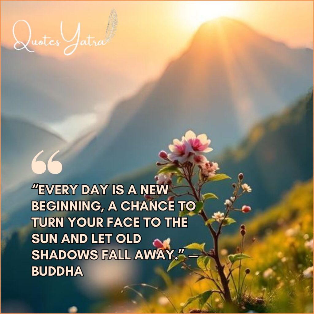 Healing, Renewal, and the Softness of Morning