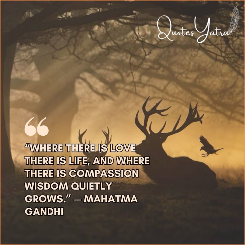 Wise Quotes About Love and Compassion
