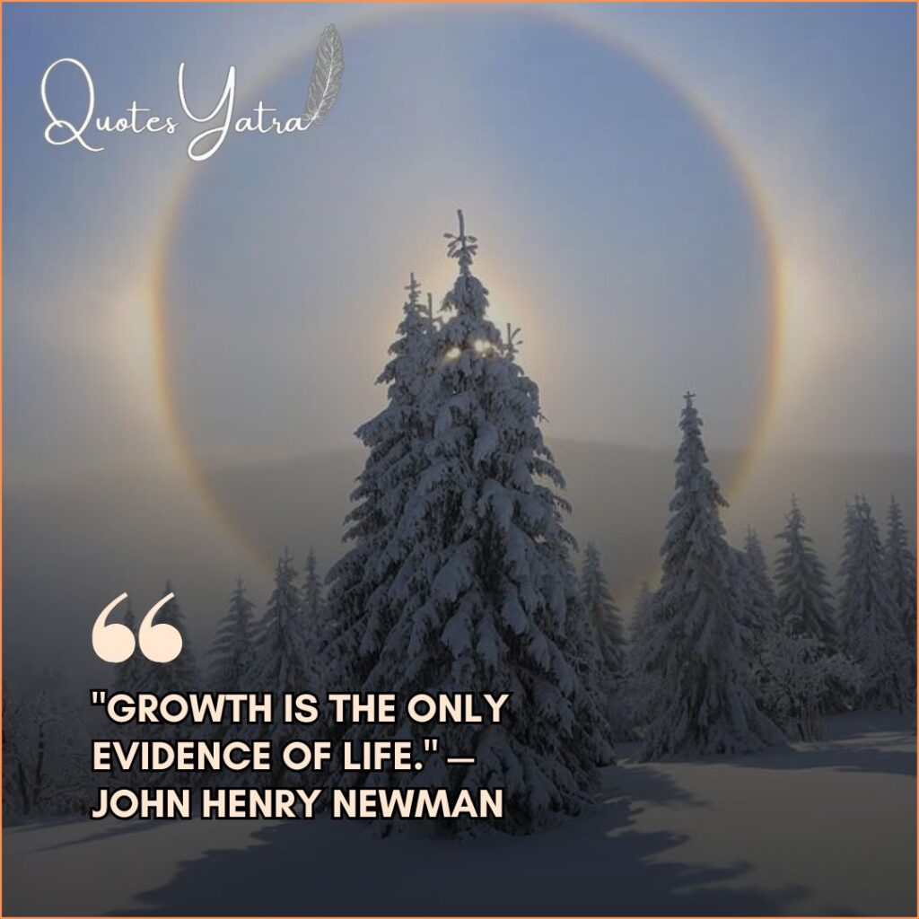 Snow-laden pine tree with a sun halo for Short January Quotes about Inner Growth by John Henry Newman.