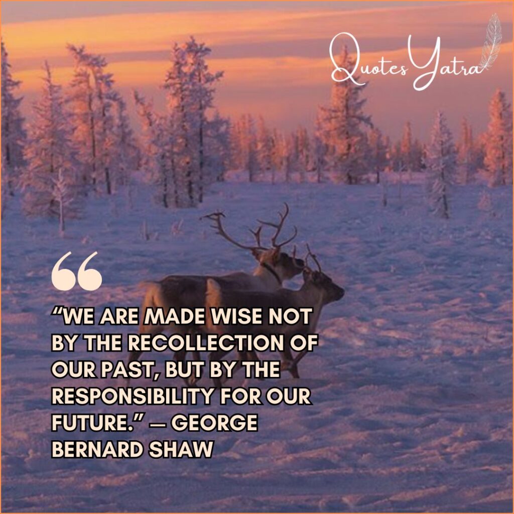 Reindeer in snowy forest at pink sunset with George Bernard Shaw last days of the year quotes on wisdom and responsibility.