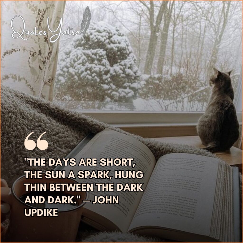 Cozy indoor scene with a cat looking out a snowy window, featuring an open book and John Updike literary quote: The days are short the sun a spark hung thin between the dark and dark.