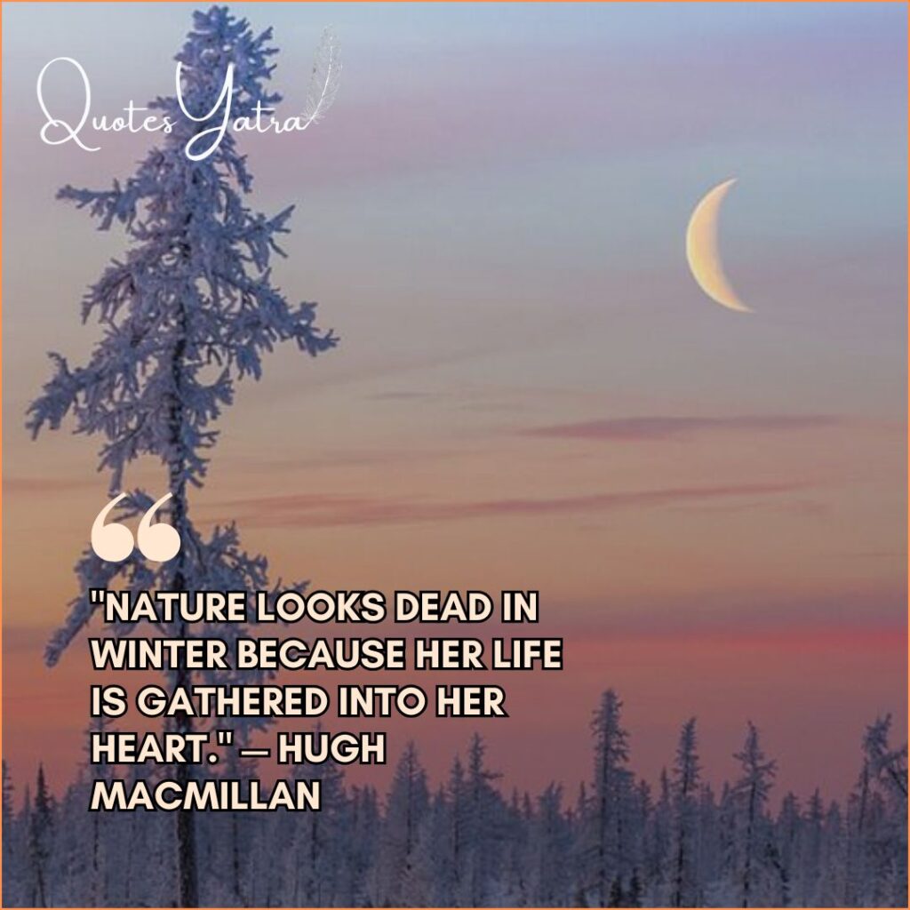 A lone frosted tree under a soft pink and purple sky with a crescent moon. Quote: "Nature looks dead in winter because her life is gathered into her heart." — Hugh Macmillan.