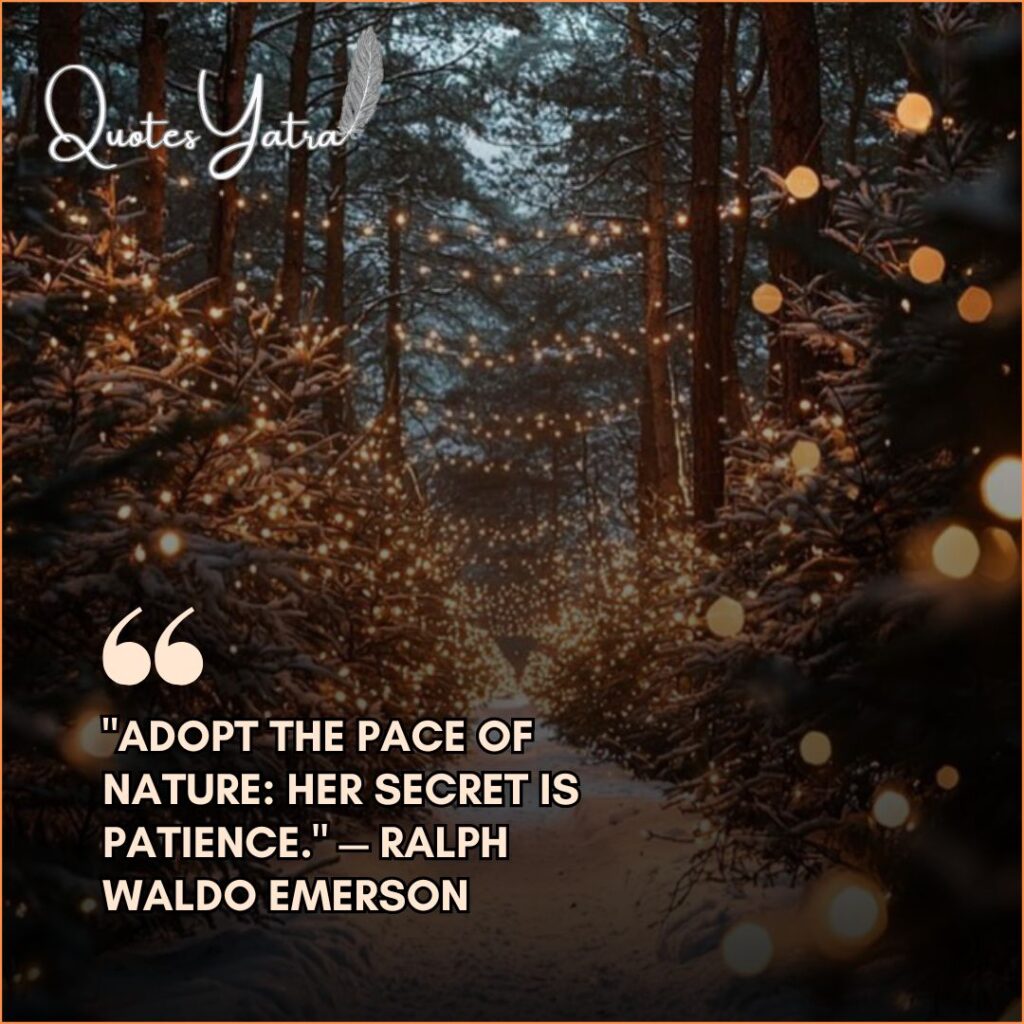 A magical path through a dark winter forest illuminated by warm string lights on the trees. Quote: "Adopt the pace of nature: her secret is patience." — Ralph Waldo Emerson.