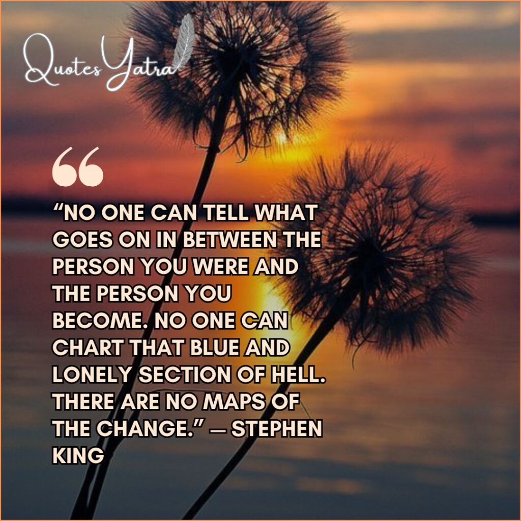 Silhouettes of dandelions against a sunset with a Stephen King quote about the space between who you were and who you become.