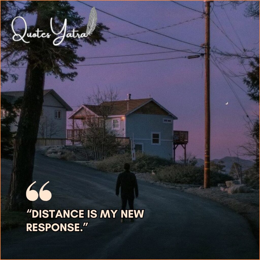 The Peace & Indifference Collection