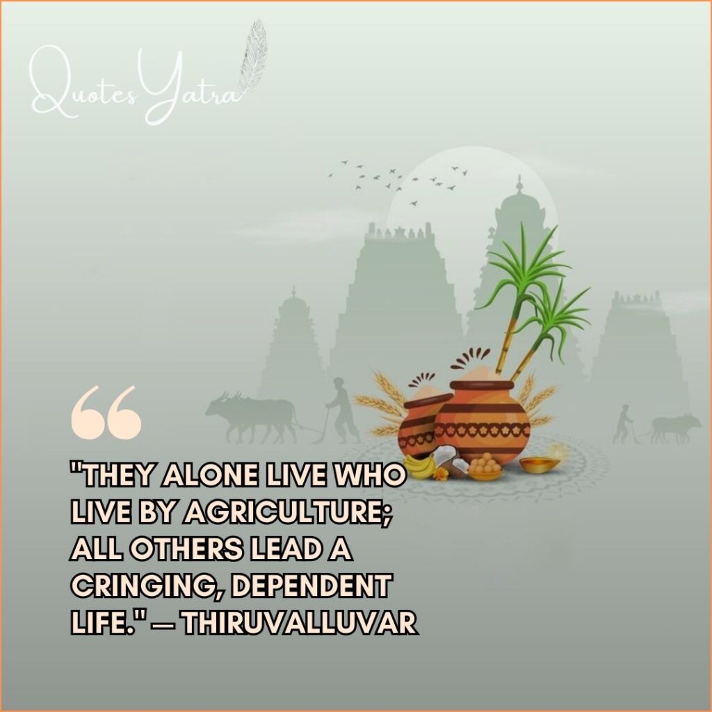 Thirukkural quote on agriculture for Pongal with a silhouette of a temple and farmer ploughing.