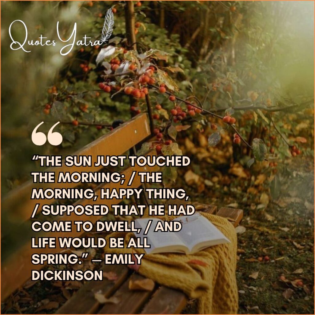 An open book resting on a wooden park bench with autumn leaves nearby. Quote by Emily Dickinson about the sun touching the morning.