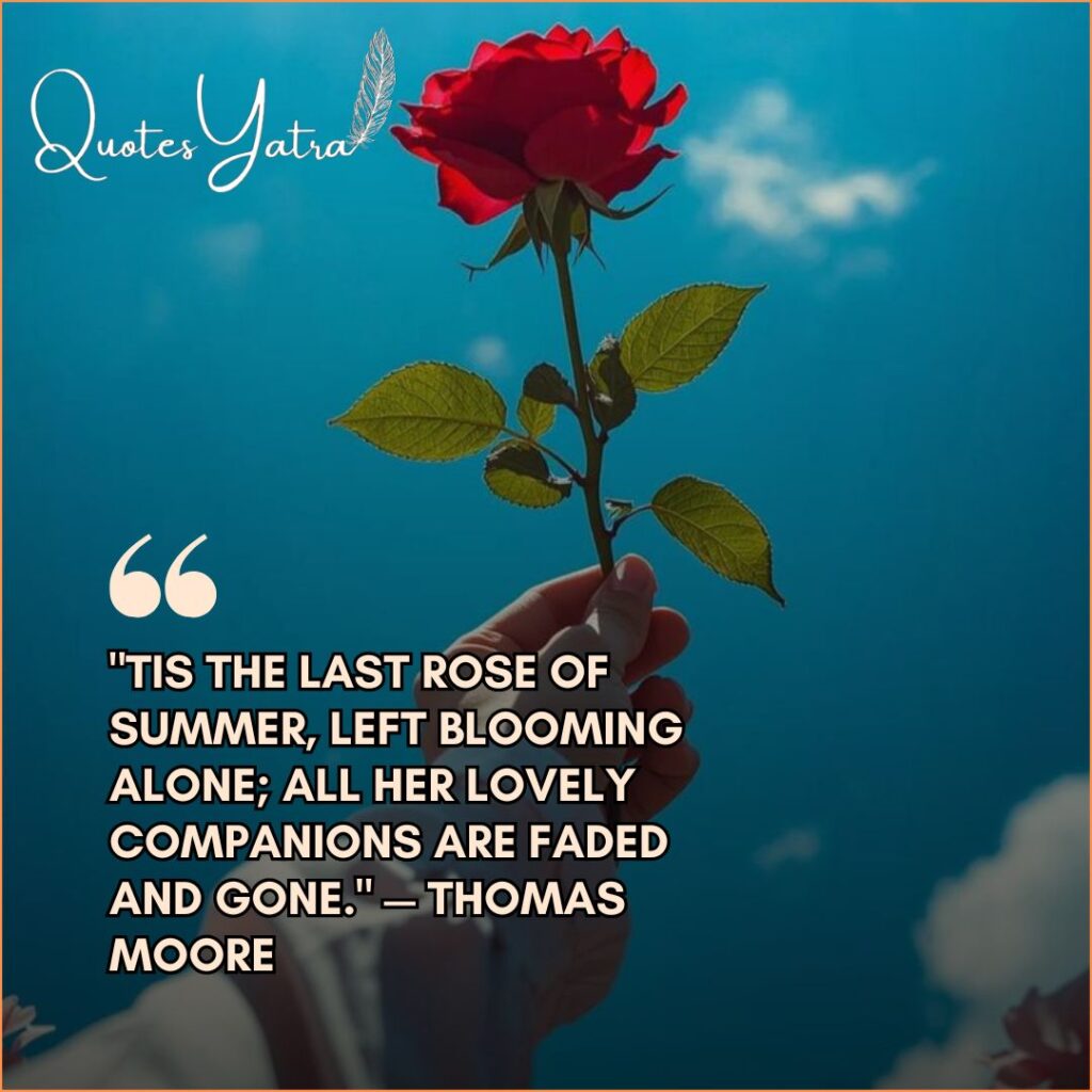 Thomas Moore poetry quote "Tis the last rose of summer" against blue sky.