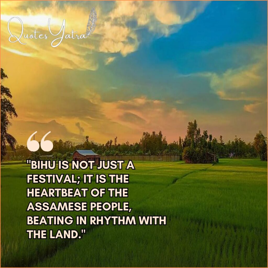 Scenic view of a green paddy field and a small village hut under a dramatic sunset sky.