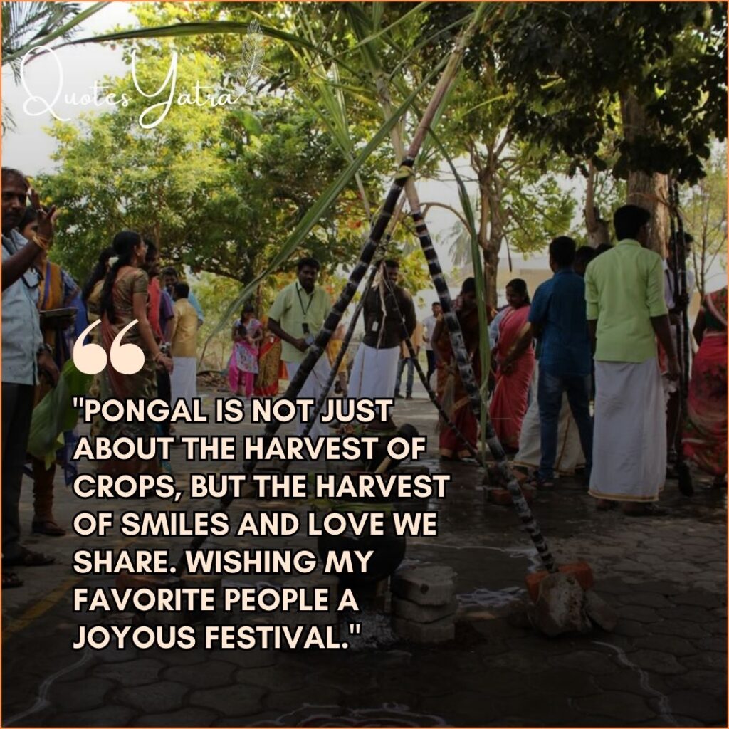 Family gathering outdoors cooking Pongal together near sugarcane stalks.