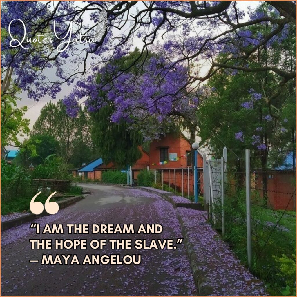 Tree-lined path covered in purple blossoms with a Maya Angelou quote about hope and legacy.