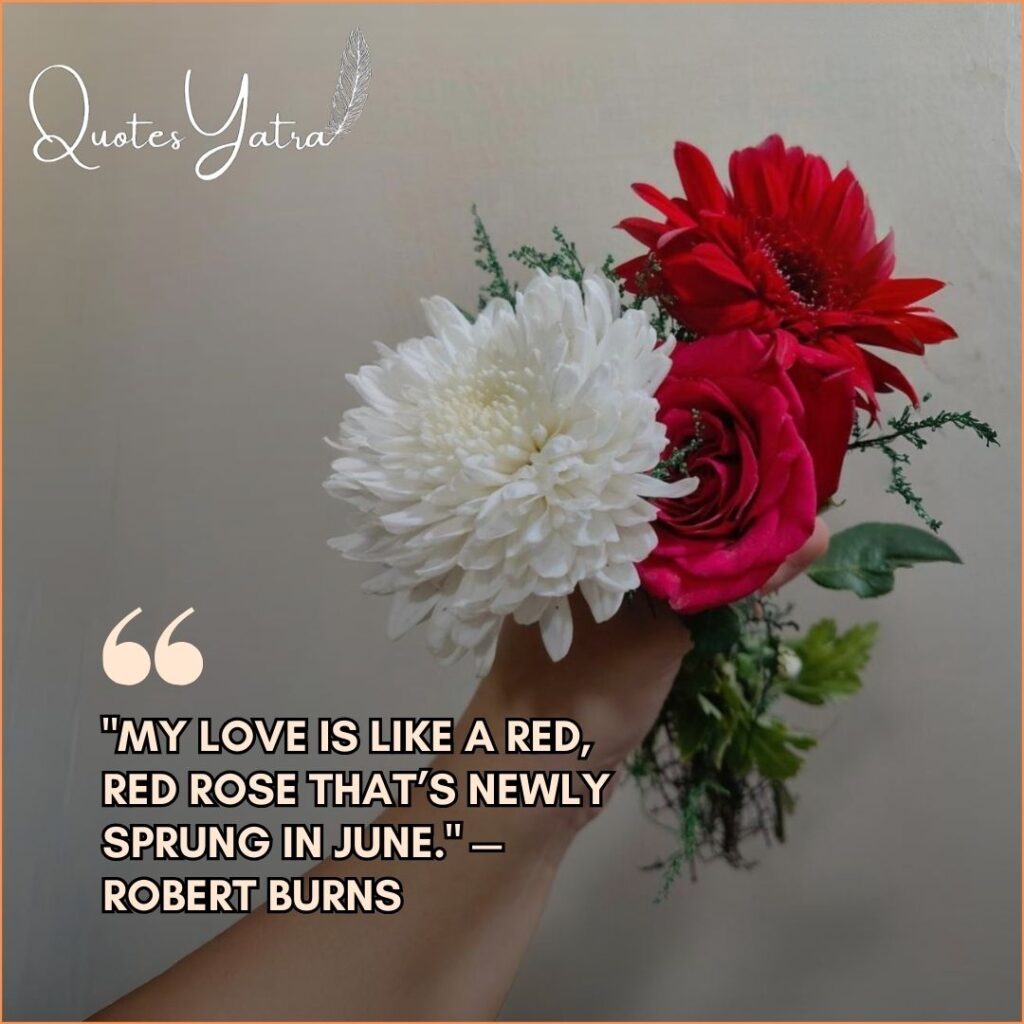 Robert Burns poem quote "My Love is like a red red rose" with red and white flowers.