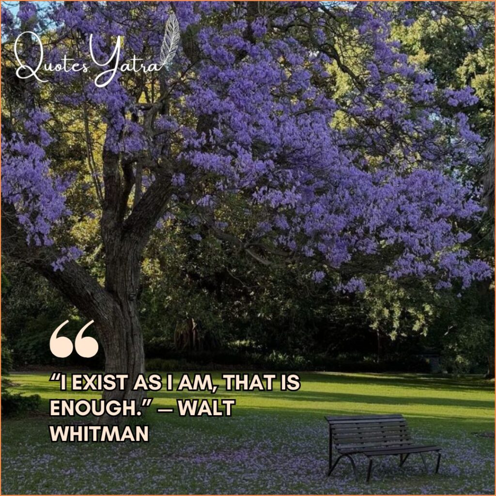 Peaceful park with blooming purple trees and a bench, featuring a Walt Whitman self-acceptance quote.