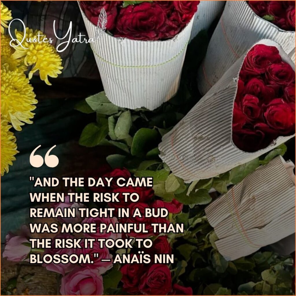 Anais Nin quote about the risk to blossom with market roses.