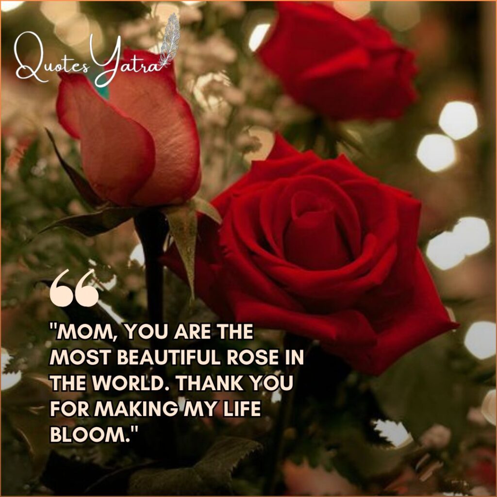 Rose Day quote for Mom with a close-up of a red rose.