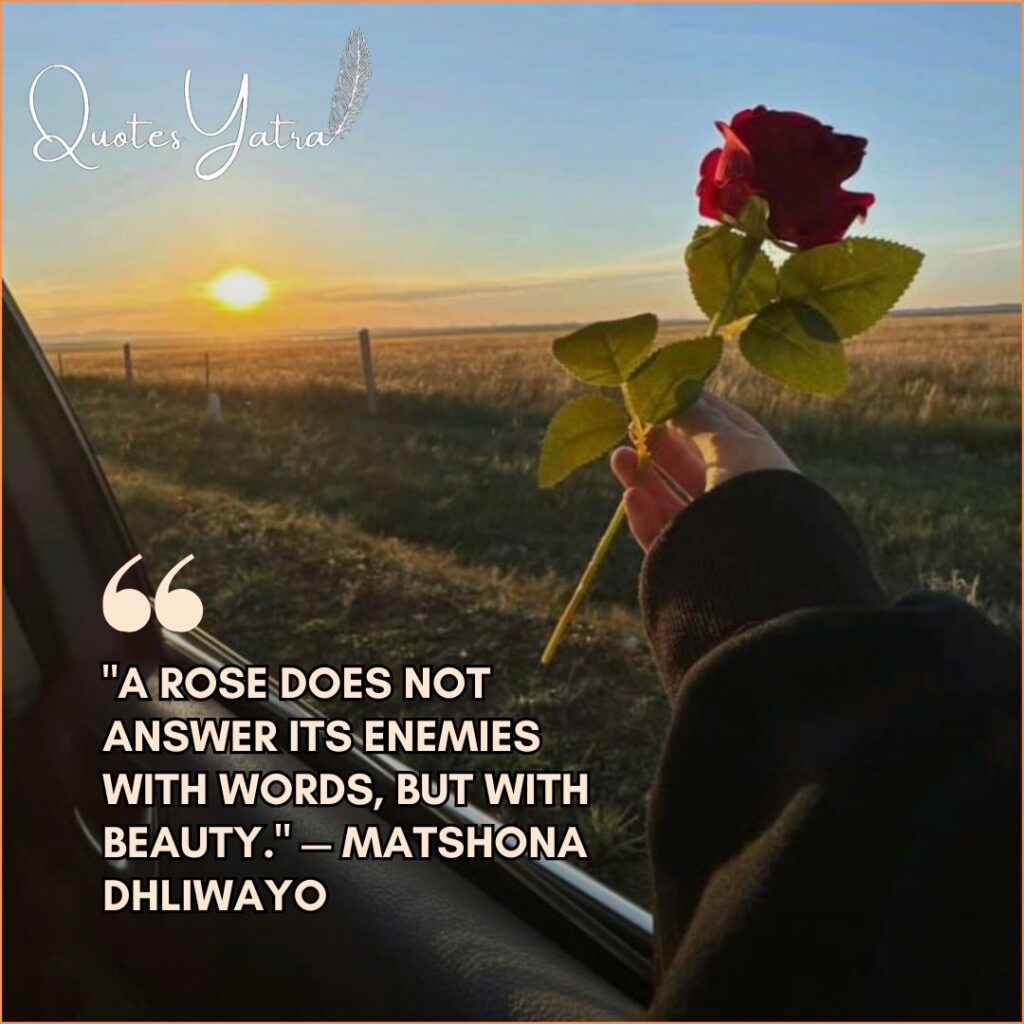 Aesthetic car sunset shot with rose and Matshona Dhliwayo quote.