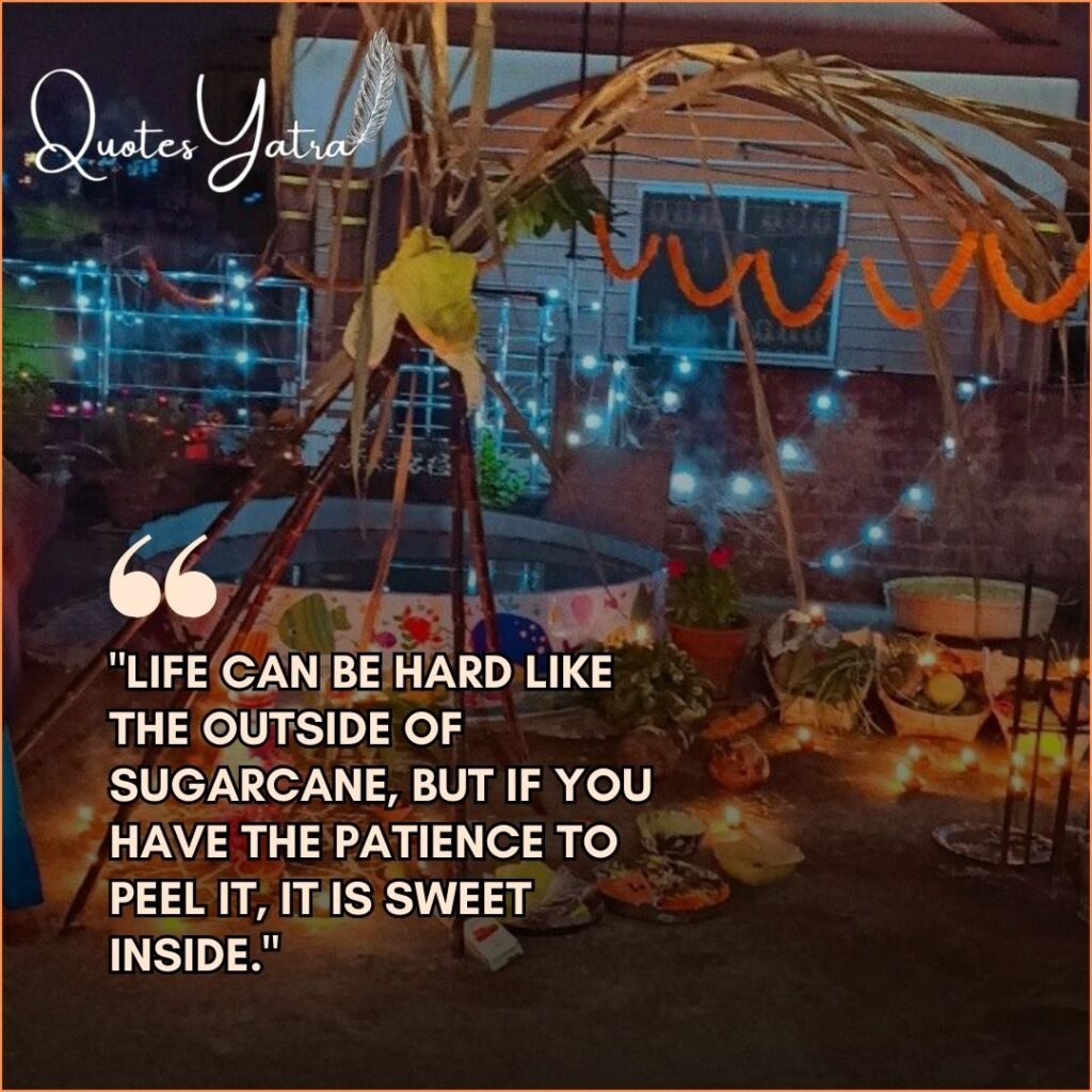 Sugarcane Pongal quotes about sweetness and patience with festive lights.