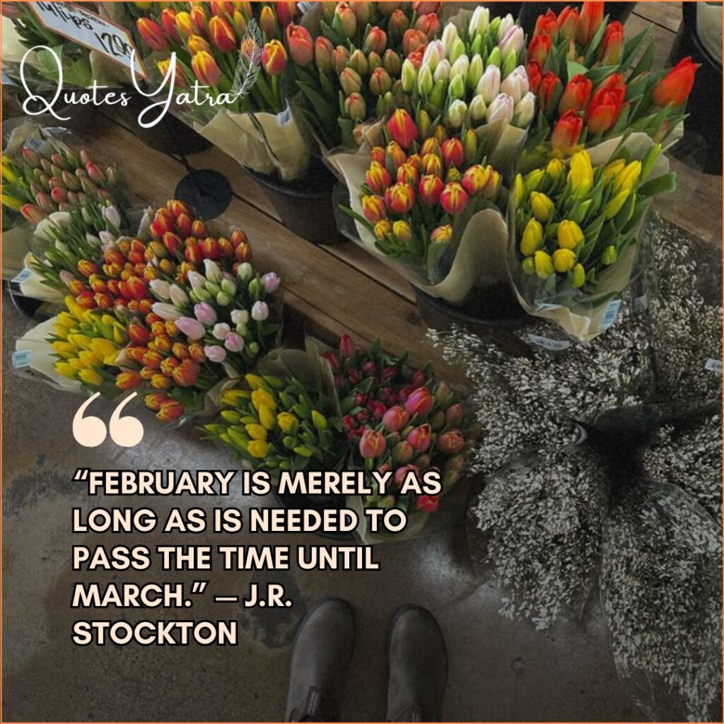 Fresh tulip bouquets at a flower market, featuring a short reflective February quote by J.R. Stockton.