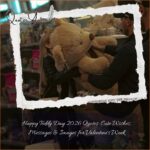 Happy Teddy Day 2026 Quotes: Cute Wishes, Messages & Images for Valentine's Week
