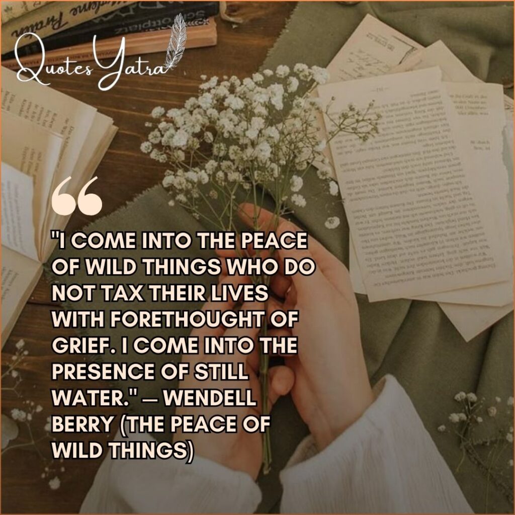 Open book with pink blossoms and J.M. Barrie happiness quote