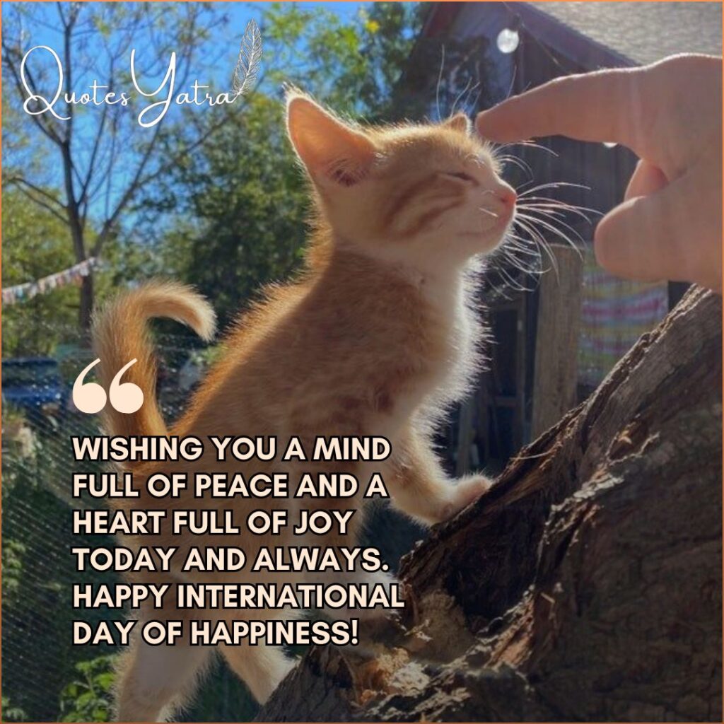 Small kitten enjoying sunshine with International Day of Happiness wishes message