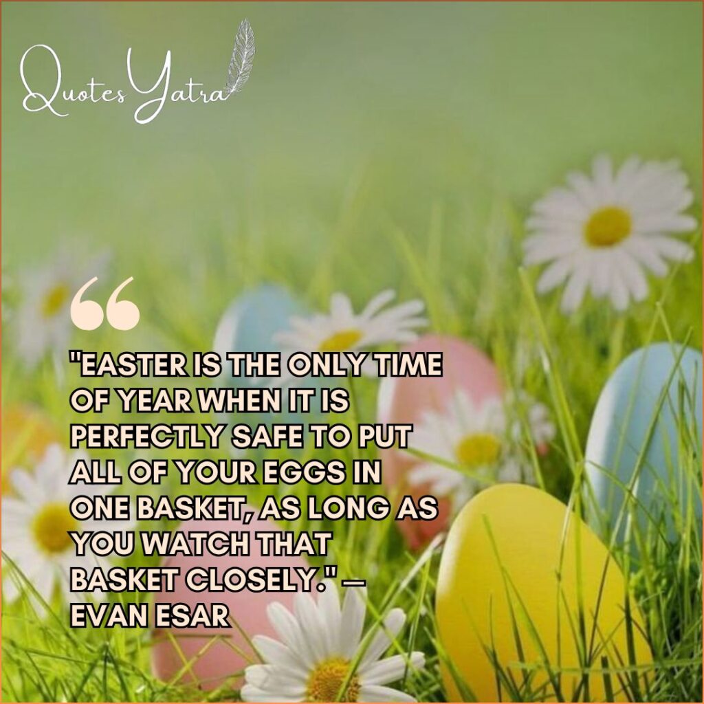 Colorful pastel Easter eggs nestled naturally in fresh green grass surrounded by blooming white daisy flowers in a sunny spring meadow