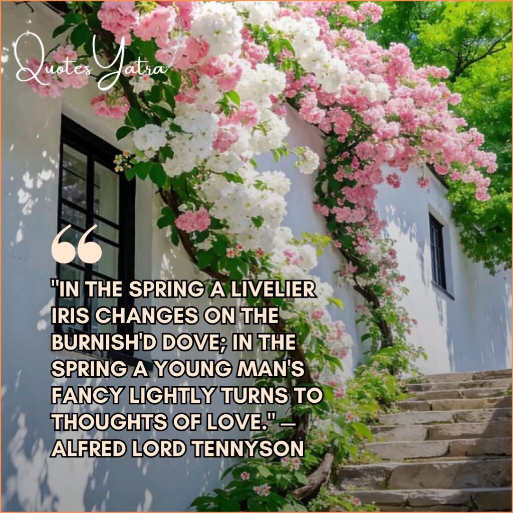 White house with pink and white flowers climbing walls featuring romantic spring quote by Alfred Lord Tennyson