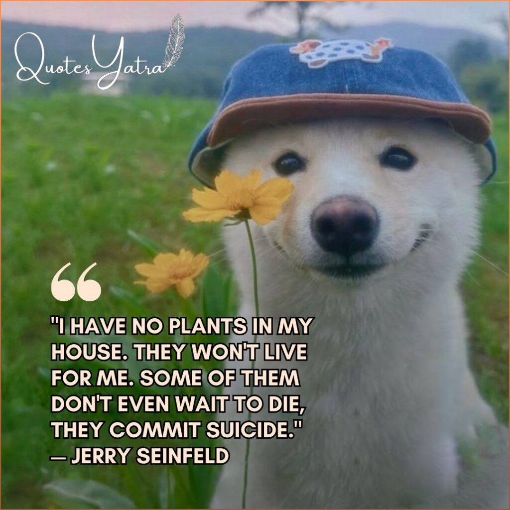 Cute dog holding a yellow flower in spring field with funny quote by Jerry Seinfeld about plants
