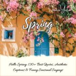 Hello Spring: 130+ Best Quotes, Aesthetic Captions & Funny Seasonal Sayings