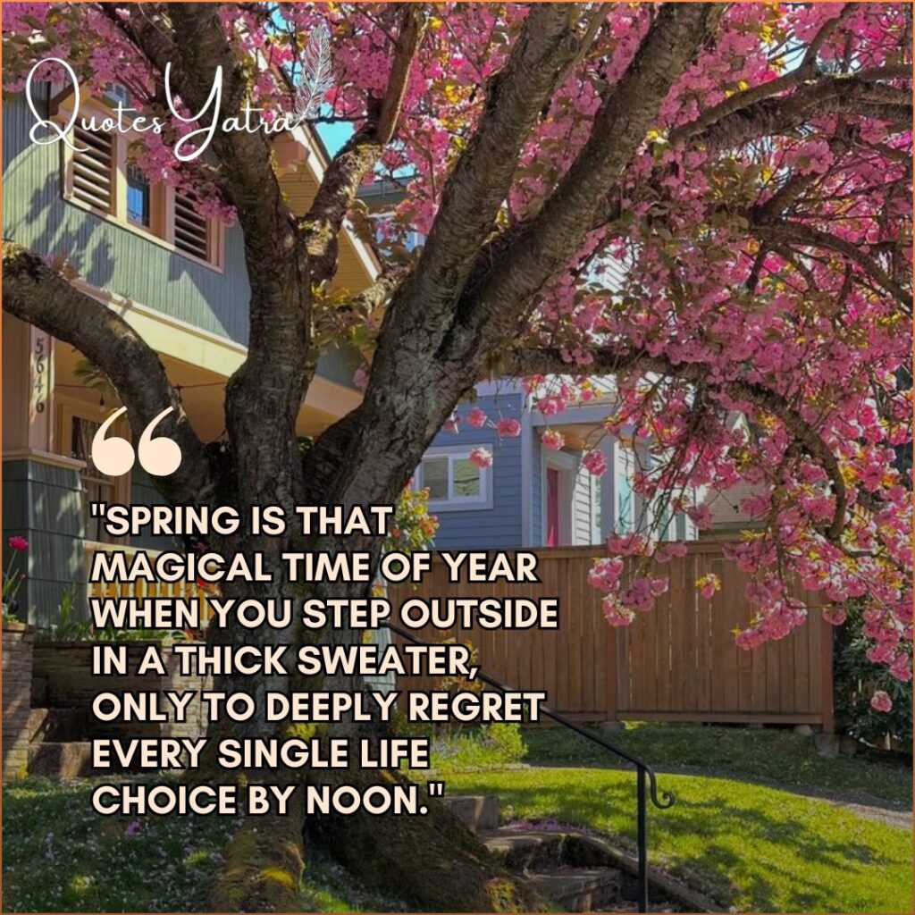 Blooming tree near house with humorous spring quote about wearing sweater and weather confusion