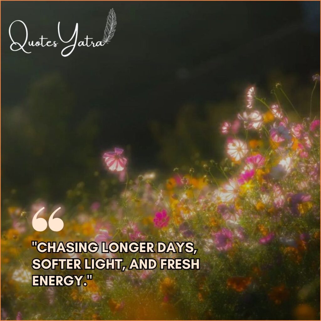 Soft dreamy spring flowers in warm sunlight with aesthetic caption about longer days and fresh energy