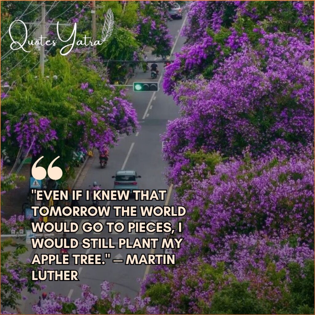 Purple flowering trees along a city road with quote about hope and resilience by Martin Luther